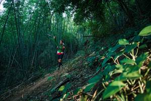 BIB: 
                            <button type="button" onclick="openModal(28125014)" class="btn btn-primary btn-sm float-right btn-popup" data-toggle="modal" data-target=".modal-high-quality">
                        <i class="fas fa-shopping-cart"></i> Add to Cart
                    </button>
                                            <button type="button" onclick="isThisMe(28125014, true)" class="btn btn-success btn-sm float-right btn-popup btn-isme hidden" data-toggle="tooltip" data-placement="bottom" title="นี่คือรูปของคุณใช่ไหม คลิกที่นี่เพื่อเอาเข้าอัลบั้ม">
                        <i class="fas fa-plus"></i> Add to album
                    </button>
                    <button type="button" onclick="isThisMe(28125014, false)" class="btn btn-warning btn-sm float-right btn-popup btn-isnotme hidden">
                        <i class="fas fa-ban"></i> Remove from album
                    </button>